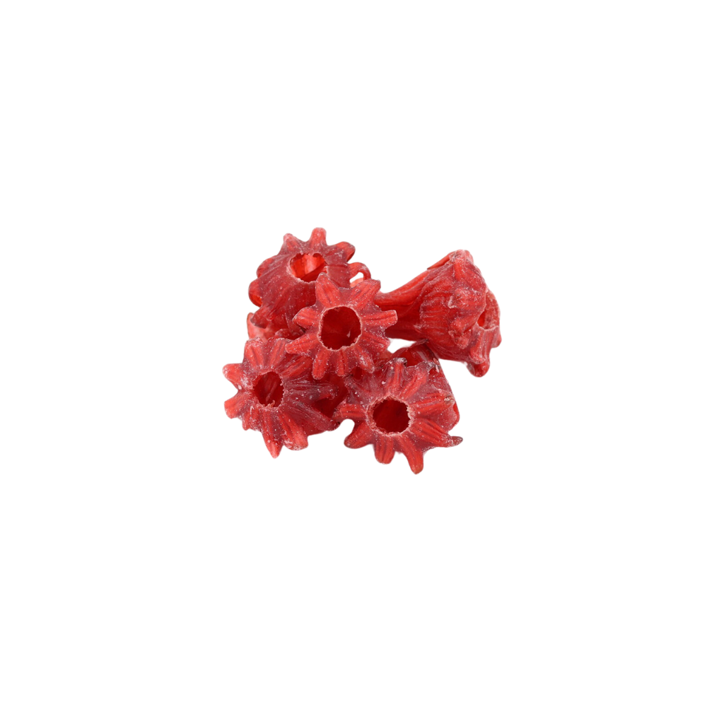 Flor de jamaica hibiscus confitada