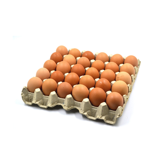 Huevos gallina libre pastoreo