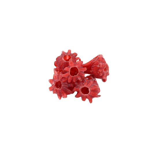 Flor de jamaica hibiscus confitada