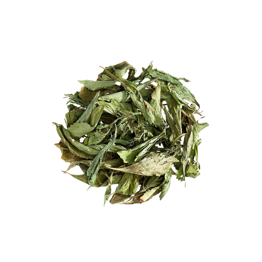 Stevia hojitas