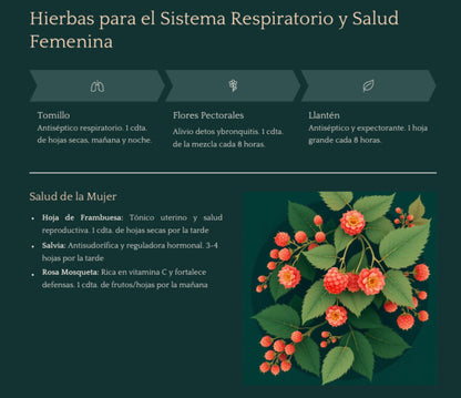Guía Esencial de Hierbas Medicinales y sus usos